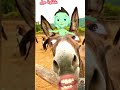 يلولو الواد فيه ريم Viral Animals يلولو الواد فيه ريم Viral Animals