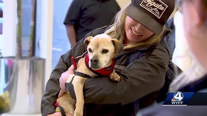 I just broke down': Family reunited with dog 54 days after deadly Tennessee  tornado
