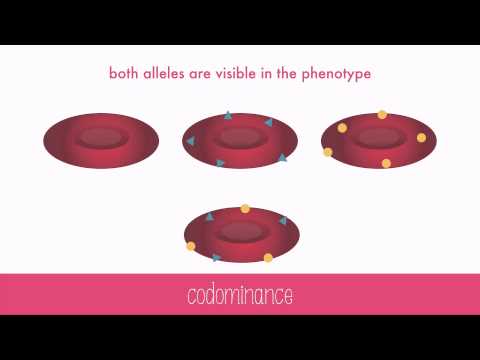 Non-Mendelian Genetics