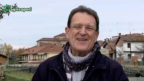 Come aprire un elicicoltura?
