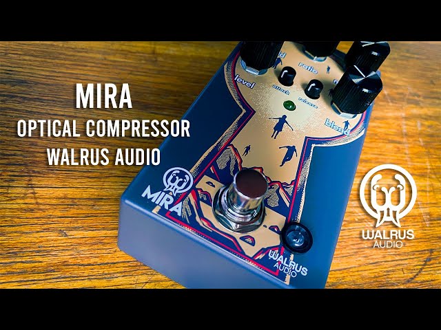 WALRUS AUDIO Mira Optical Compressor【コンプレッサー】《エフェクター》 