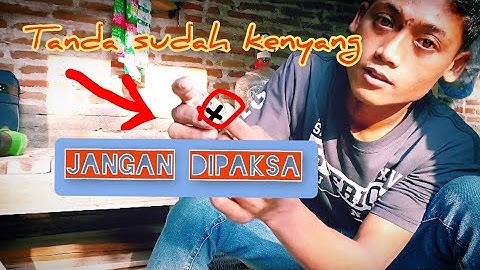 Cara merawat dan meloloh anakan burung gereja