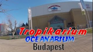 Tropicarium .Oceanarium.Budapest zoo.