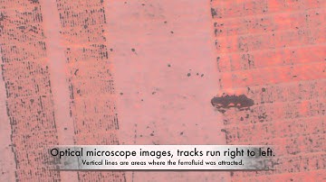 PDP 11  RL01 Hard Drive Platter Imaged With Ferrofluid