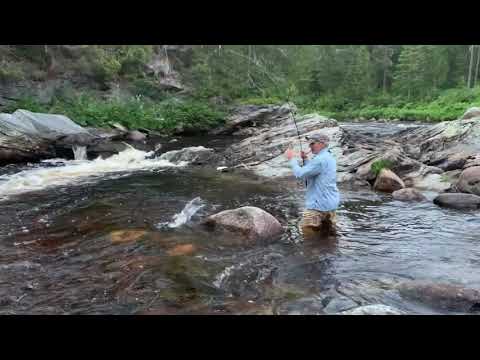 Big Fish on the Little Southwest Miramichi