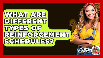 What Are Different Types Of Reinforcement Schedules? - Childhood Education Zone
