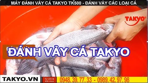 làm sạch vảy cá rô đồng bằng máy đánh vảy cá tự động takyo tk500 công suất một mẻ 10-15kg điện 220v