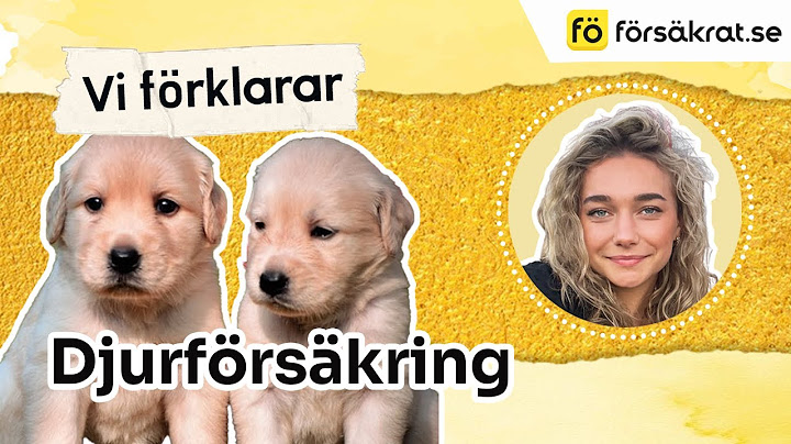Djurförsäkring - vad är det?