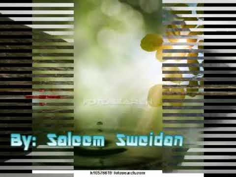 راغب علامة نسيني الدنيا موسيقى صامتة