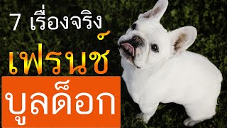 Are French Bulldogs difficult to raise? 7 things you need to know before raising a French Bulldog...