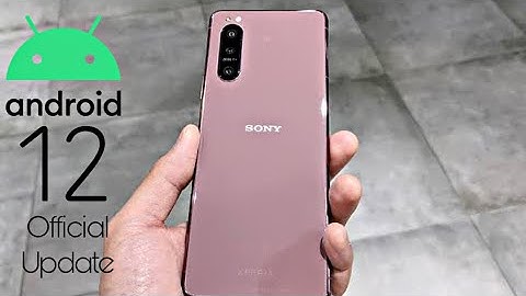 Sony Xperia 5 II Android 12 Update