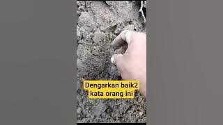 Download lagu Discovery of gold grains after the flood #gold #beledugjatiBJM