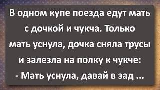 картинка: Дочка Залезла на Полку к Чукче! Сборник Самых Свежих Анекдотов!