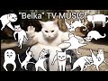 "Belka"🐱TV MUSIC - STAR WARS 4K 💫🚀📀🎬MEGAMIX (Official Fan Video) | AhsokaFanEdit | StarWarsFanMusic 