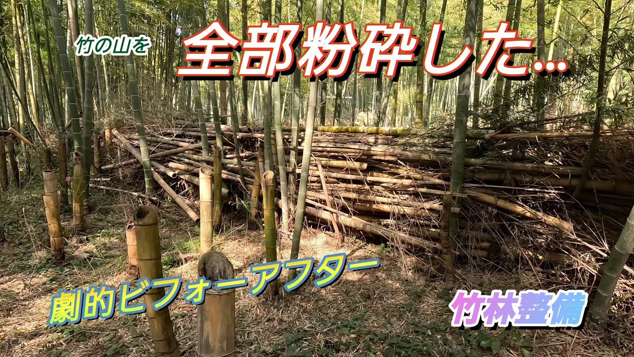 【竹林整備】竹の山を全部粉砕した～