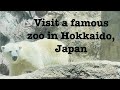 Asahiyama Zoo in Hokkaido, Japan
