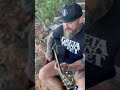 Zac Brown - Whole Lotta Love (Led Zeppelin Cover) #shorts #ledzeppelin #cover #acoustic