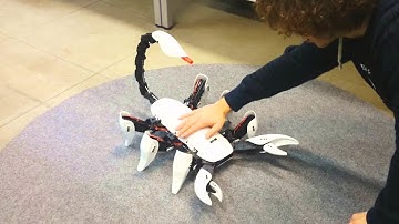 Scorpion Hexapod Robot - A Cool Robot That Has A Sting In Its Tail.