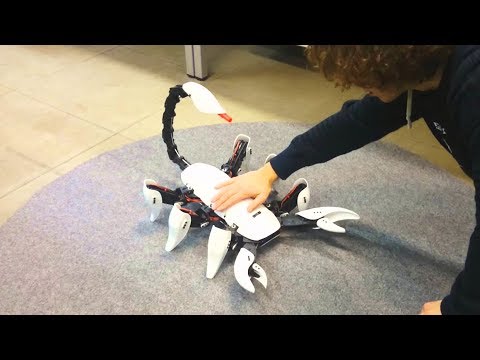 ربات عقرب شش پا یک ربات جالب که در دم خود نیش دارد