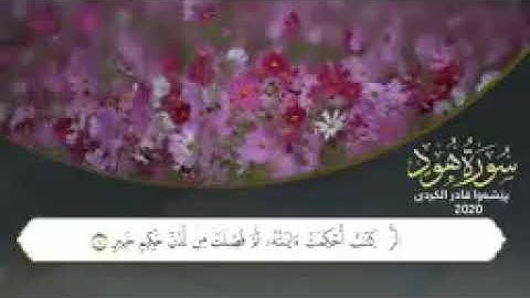 سورة هود كاملة بصوت القارئ قادر الكردي