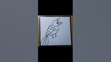 beautiful love bird drawing from number 33 #shorts #birds #drawing #foryou #art