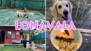 Pet friendly villa | Dog Pool | Dog birthday celebration