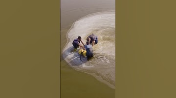 How This Nano-Bubbling System Captures Bacteria