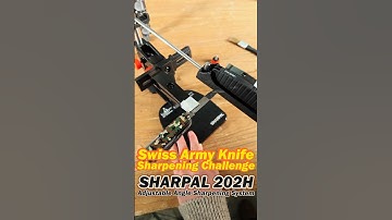 SHARPAL 202H Adjustable Angle Sharpening System: Swiss Army Knife Sharpening Challenge #pro #fyp