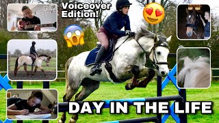 Day In The Life - Riding All Of The Horses! // Voiceover Edition // Kentucky Horsewear