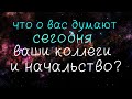 ♥ЧТО  ДУМАЮТ О ВАС СЕГОДНЯ ВАШИ КОЛЛЕГИ И НАЧАЛЬСТВО?♥/Таро онлайн/Расклад таро/Гадание онлайн