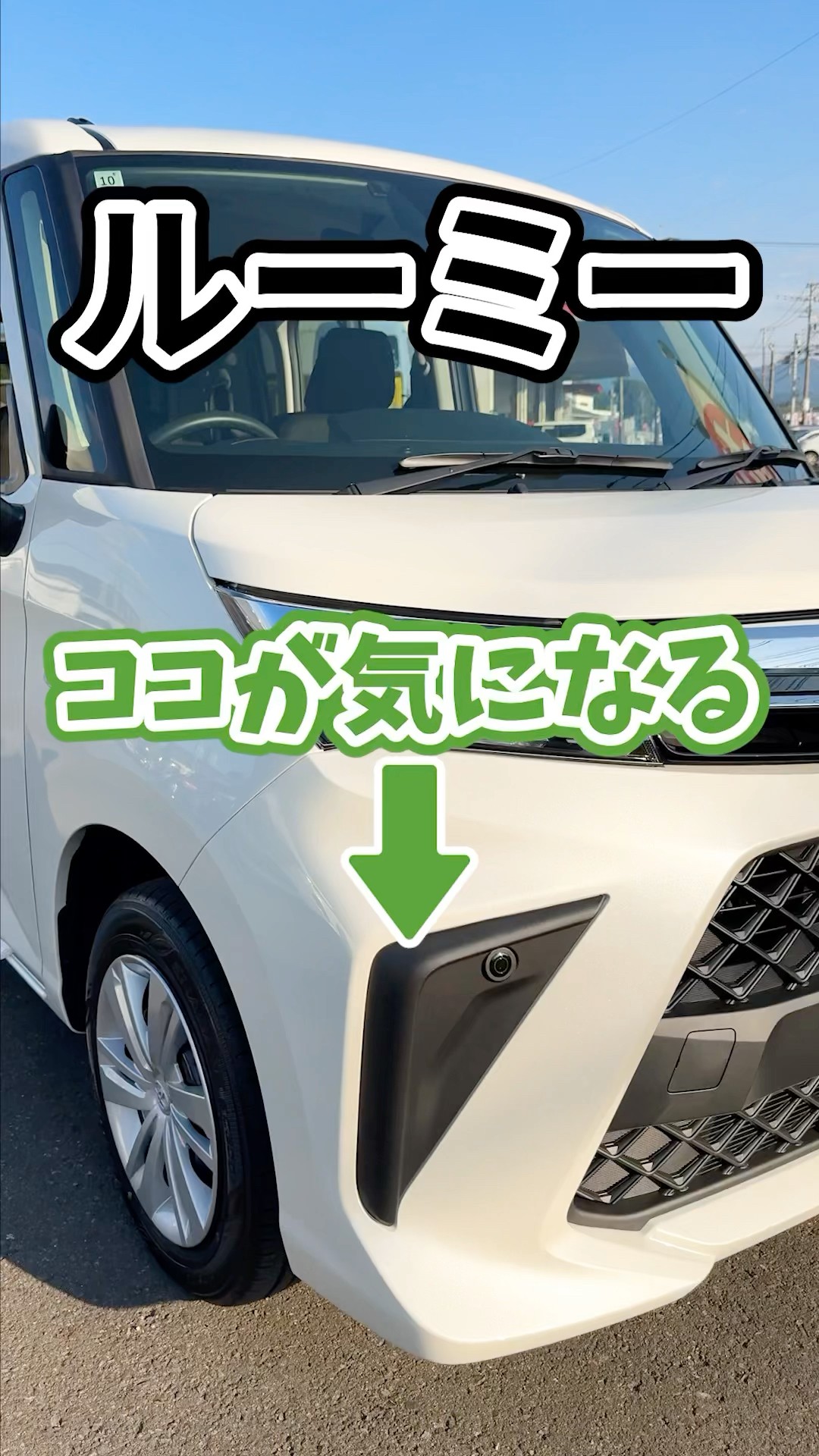 I'm curious about this about Roomy! 🤔 What is the true nature of