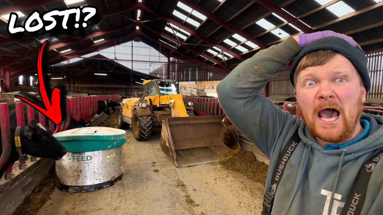 Я НЕНАВИЖУ РОБОТОВ... ПРОСТИТЕ!