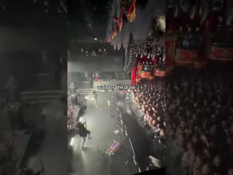 you won’t regret it