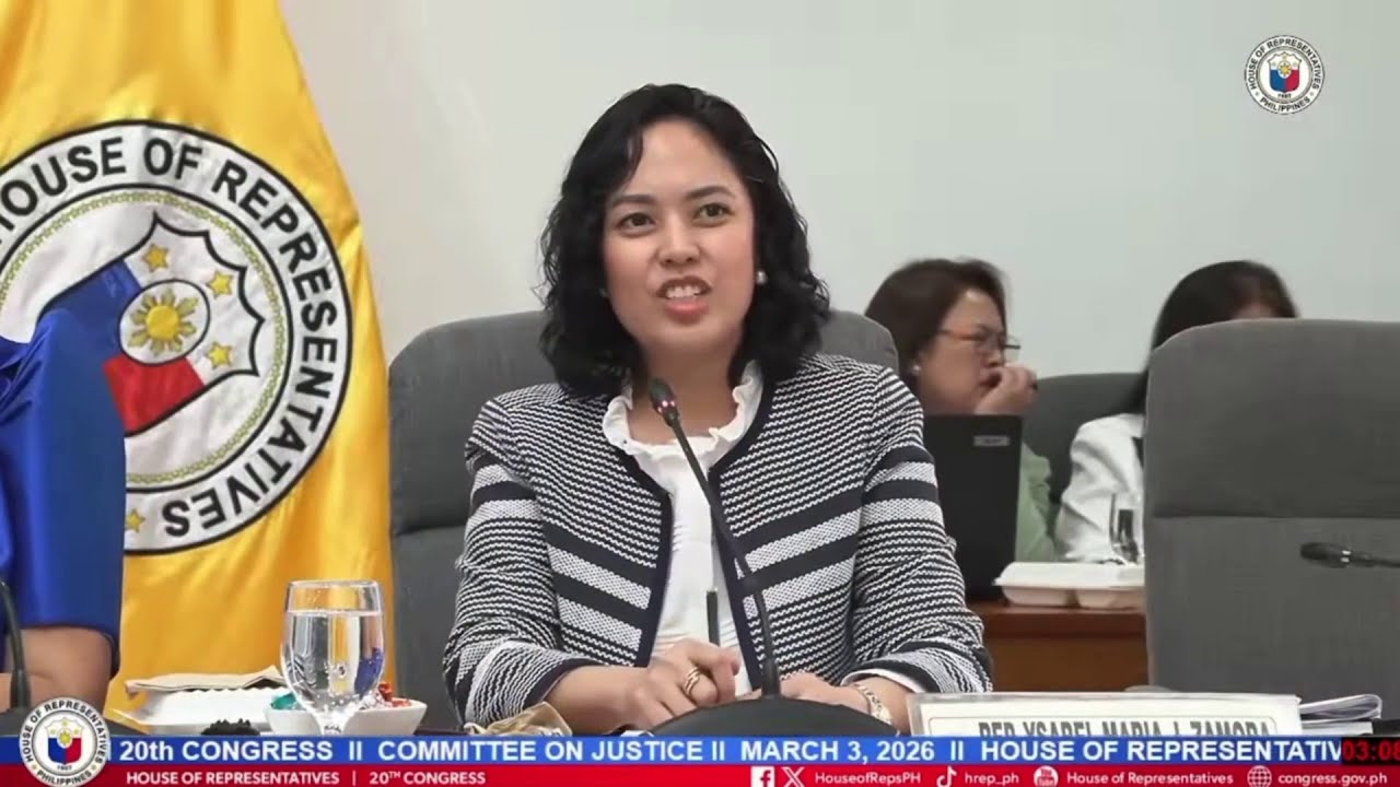 WATCH: Rep. Zamora moves to strike off from record Suntay's lewd remarks | ANC