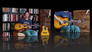 Prs Se Standard Ax20 Tx20 Guitars Review