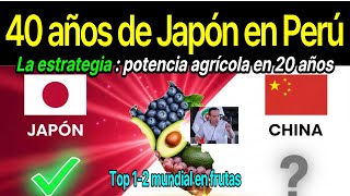 Per Eligi A Japn  Para El Mega Proyecto Agrcola Adoptando Estndares Globales