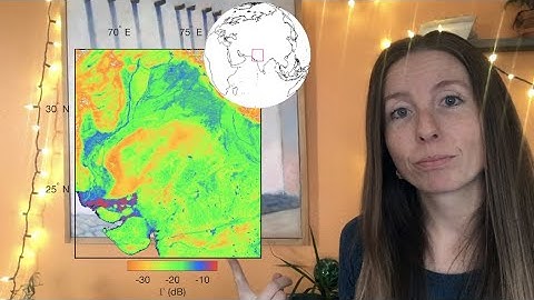 CYGNSS and Spatial Interpolation