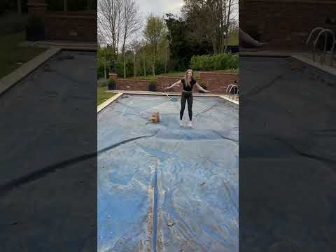 Walking on water 💦 🐾 #dog #frenchbulldog #frenchie #bulldog