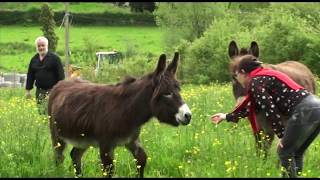 Naturellement Parc Le Tourisme Durable De Proximité -