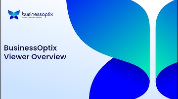 BusinessOptix Viewer Overview