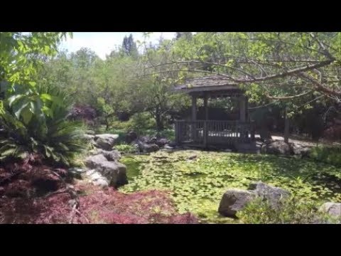 Shinzen Japanese Garden In Fresno California Youtube