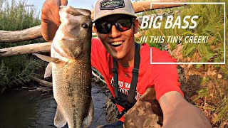 BIG Largemouth Bass out of TINY CREEK!! (PB)
