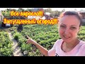 ЗАРОСШИЙ ОГОРОД/СОВСЕМ ЗАБРОСИЛА ОГОРОД/СОРНЯКИ АТАКУЮТ/ВСЕ ГРЯДКИ ЗАРОСЛИ/ПРЕОБРАЖЕНИЯ ОГОРОДА