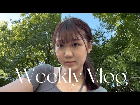 前往接機的日子✈️｜歌單推薦🎵｜好吃鳳梨酥🍍｜屏東新市場🏬｜勝利星村｜貓咪咖啡廳🐱