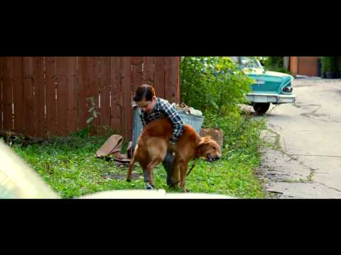 BAILEY – EIN
