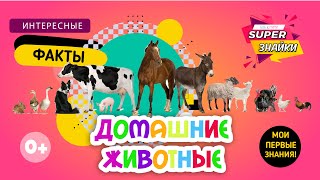 Домашние животные для детей /Питомцы/ Ферма/ Развивающие мультики для детей/ Интересные факты/
