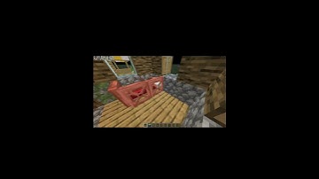 Minecraft Villagers have SELF RESPECT ALSO!!!