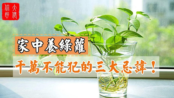 【植物风水】家中养绿萝千万不能犯的三大忌讳！很多人都错了！ - 天天要闻