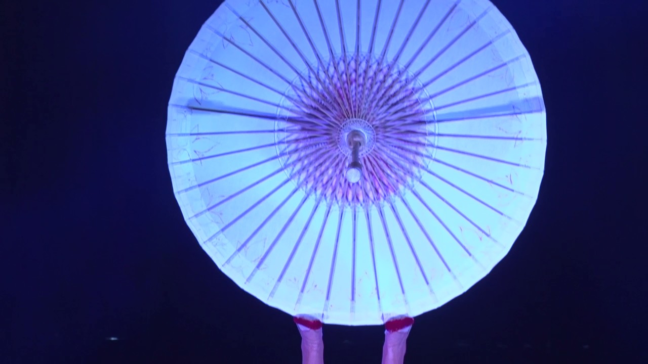 30 Second promo Australian Circus Festival 2016