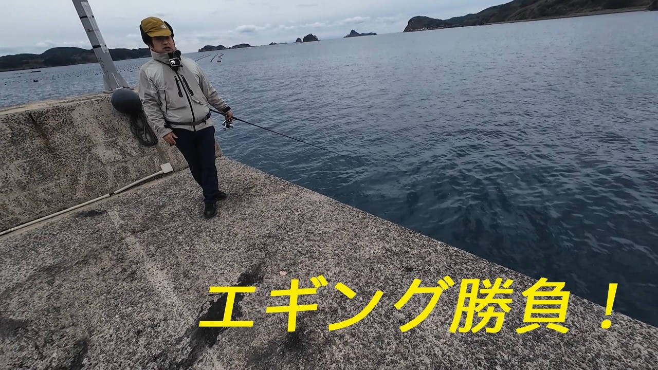 壱岐の島でアオリイカ早がけ勝負！タイムリミットは１時間！？